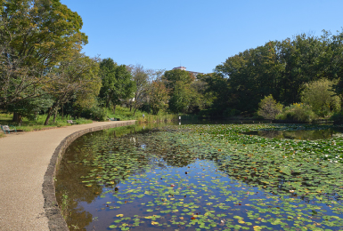 季節の花々や木々が心地よい「せせらぎ公園」