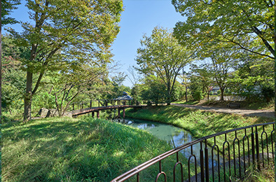 公園と公園を繋ぐ緑道は定番のお散歩コース